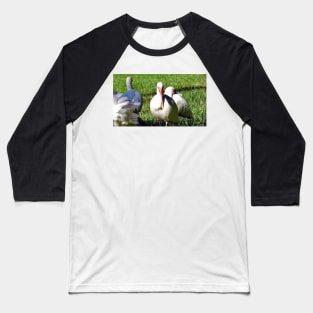 American White Ibis Baseball T-Shirt